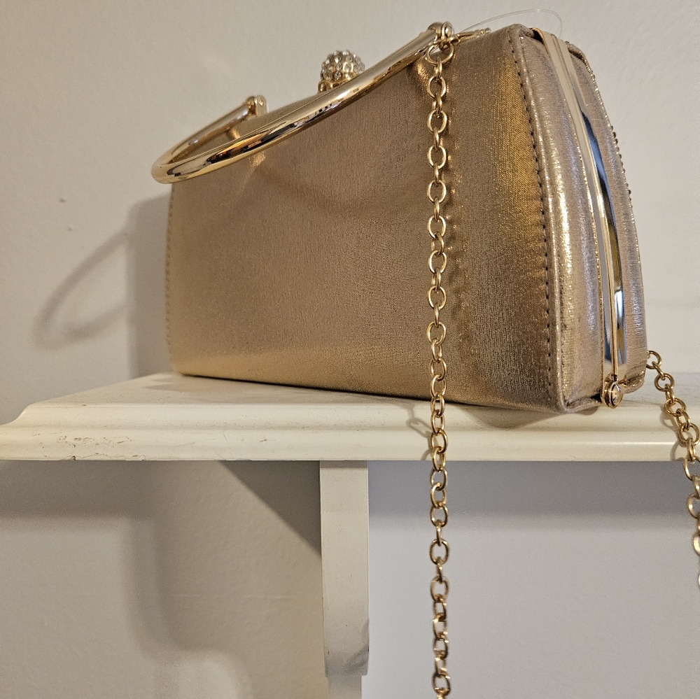 Rhinestone crossbody or clutch